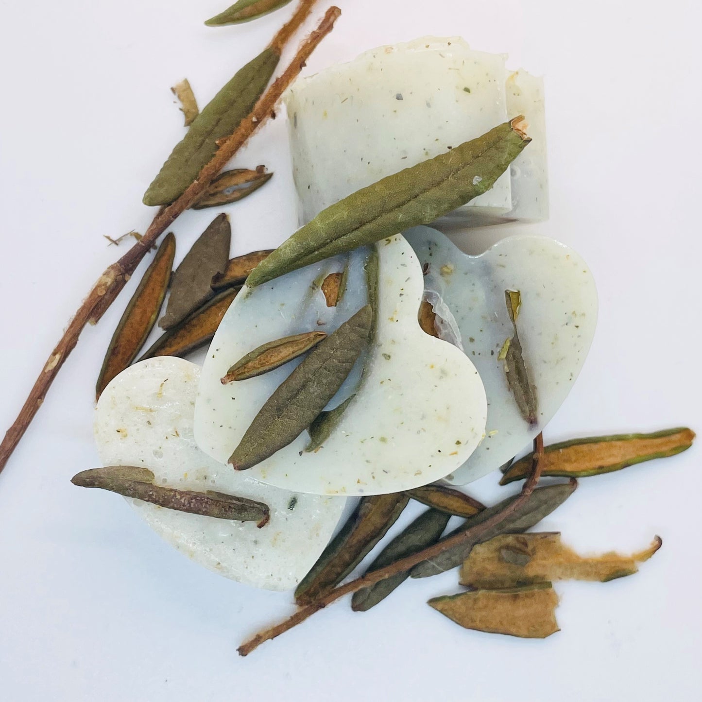 Labrador Tea Chamomile